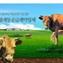 (주)웰빙 이미지