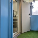 달링하이 강아지분양 밀양점 이미지