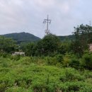 인보농장 이미지