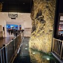 우물집 | 인천 인스파이어 리조트 | 오아시스 고메빌리지 솥밥 맛집 우물집 내돈내산 솔직 후기