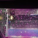 창릉세차장 이미지