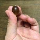 인후공원(배수지) | 뒷산에서 토토리 줍기 /가을 산보/인후배수지/예쁜도토리선발대회(?)