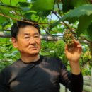 산내농협하나로마트 이미지