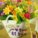 작은별어린이집 이미지