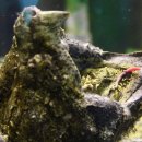 번성농장 이미지