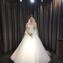 더펫플레이스 | W15. 본식 드레스 피팅 | 안산 AW컨벤션 홀패키지 본식 신상 드레스 : 시작바이이명순👰🏻‍♀️