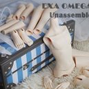 엑사코드