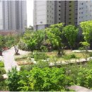 판교참좋은공인중개사사무소 | 판교역 근처 부동산을 찾을 때 알아두면 좋은 봇들마을8단지 관련 팁