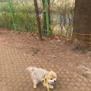 대월놀이공원 이미지