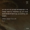 이디야국회의 | 생전에 돼지였던지라 돼지가 있는 곳으로 찾아가는 건지
