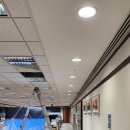 장항동,백석동 이미지