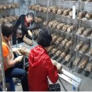 스마트도시농부협동조합 이미지