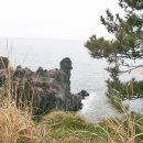 선배농장 이미지