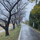 취평리 정류장 이미지