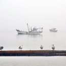 버드오토캠핑장 이미지