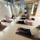 빈야사요가 초급반 | 구미동필라테스, '카빈 PT 필라테스 플라잉요가 분당구미점'플라잉, 요가 올인원 수강권 후기