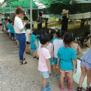 즐거운상아어린이집 이미지