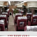 블루티케