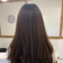 원문스헤어