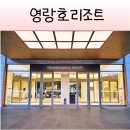 랄라하우스 | 아이랑 가도, 커플이가도 숙소고민 끝! 영랑호 리조트 갤러리 하우스 후기