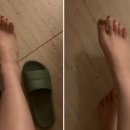 나투라에스테 이미지