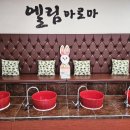 엘림두피관리샵
