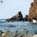 오롯이;독 이미지