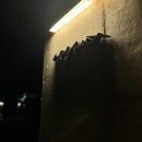 베지아웃 이미지