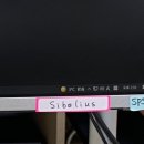 컴퓨터실습실 B155호 사보 프로그램 설치(피날레, 시벨리우스) 및 이용 가능 안내 이미지