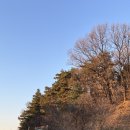 팬도로시중앙대학교안성캠퍼스 | 안녕 안성