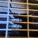 이문안로113번길 | 구리누수탐지 누수설비 빗물누수 하수구막힘 공사업체, 수택동 인창동 교문동 토평동 갈매동 💦