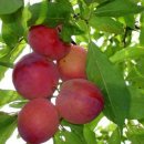 경남빌딩 이미지