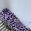 금강스마트빌딩 | [안양 웨딩홀] 더파티움안양 계약 후기 안양 웨딩홀 평촌 웨딩홀 야외예식 7층 라포레홀