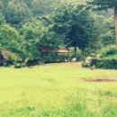 도전분교 이미지