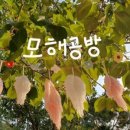 사부작 코바늘 소품만들기 이미지