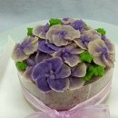 풀잎일반문화센타 이미지