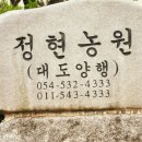 정현 농원