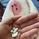 여도연합의원 이미지