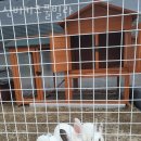 경춘체육관 | 가평키즈풀빌라 신비키즈풀빌라 아이랑갈만한곳 키즈펜션 키즈호텔