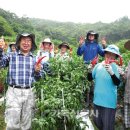 도암교회 이미지