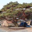 방동1리 마을회관 이미지