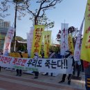 청정마을세탁 이미지