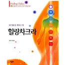 차크라 | [영혼을 깨우는 책] 힐링차크라 후기｜조 디스펜자가 말한 에너지센터 치유의 모든 것