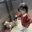 다희농장 이미지