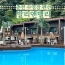 나무향기펜션 앤 커피 | [춘천] 아이랑 가기 좋은 춘천 수영장 펜션, 발리앤밸리