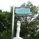 무궁화7080 이미지