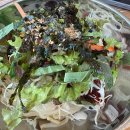 남천1-218 이미지