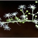 시절 인연 이미지