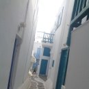 리틀미코노스3 이미지