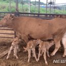 이성우농장 이미지